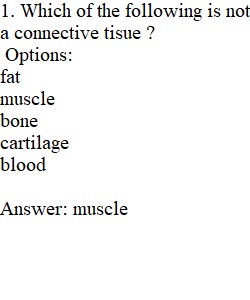 Quiz 2